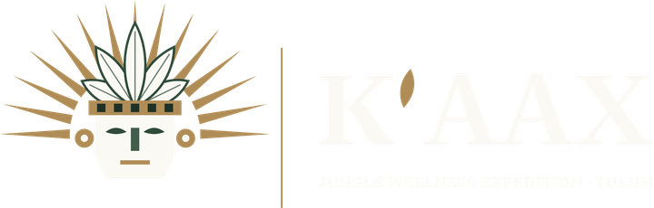 K'AAX Jungle Wellness Expedition