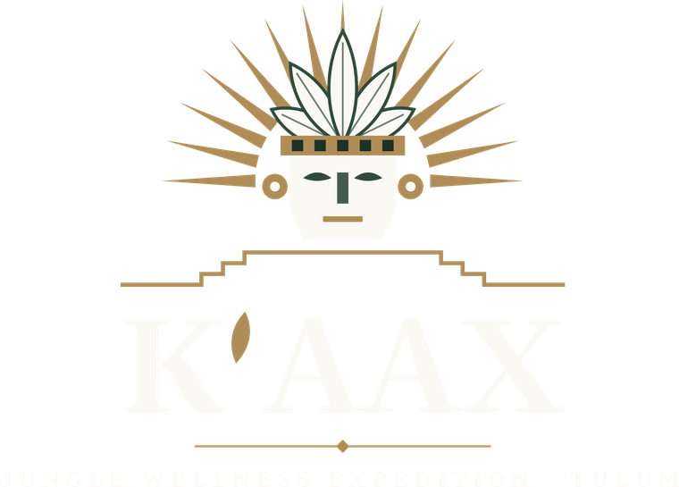 K'AAX Jungle Wellness Expedition